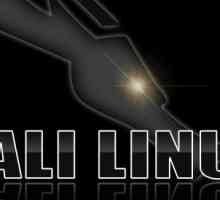Kali Linux: инсталирайте на USB флаш паметта. Кратка инструкция