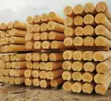 Калибриран дървен материал: характеристики, предимства и недостатъци. Проекти и строителство на…