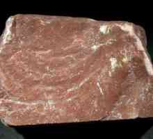 Stone lemsit - уникален естествен материал
