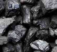 Въглища: образуване на находища. Значението на въглищата в промишлеността
