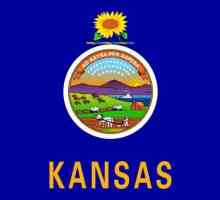 Канзас: слънчоглед и стълба на Америка