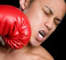 Capa за бокс: как да изберете, типове, инструкции за обучение