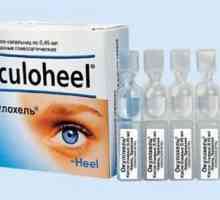 Очни капки "Okulokhel": инструкции, указания за употреба и аналози