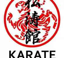 Карате Setokan: един от основните стилове на японския карате