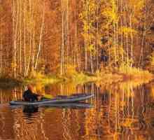 Карелия през есента: северна приказка с ярко покритие