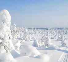 Карелия през зимата: разглеждане на забележителности, отдих, природа и ревюта