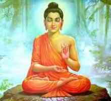 Карма е будистка концепция за съдба и свобода на волята