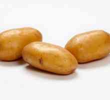 Картофи Лейди Клер: описание на класа, снимка, ревюта. Кога да засаждате картофите?…