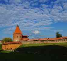 Замъкът Каунас (Каунас, Литва): история, описание, как да се получи, работно време