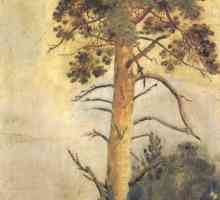 Всяка картина на Шишкин - точното възпроизвеждане на красотата на природата
