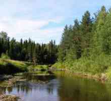 Керженец - река в района на Нижни Новгород: описание, риболов, почивка