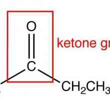 Кетони: химични свойства и определение