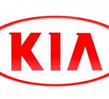 `Kia-Ryo` (хечбек): технически характеристики, история на модела и мнения