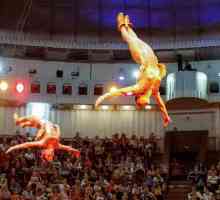 Киев Цирк: историята на такова прекрасно забавление в украинската столица