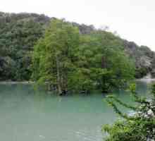 Cypress Lake (Sukko): описание, характеристики, снимка
