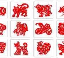Китайски зодиакални знаци: Характеристики