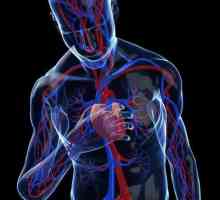 Класификация на сърдечните аритмии