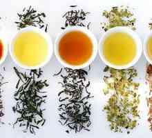 Класификация на чая по различни параметри. Видове, характеристики и производители на чай