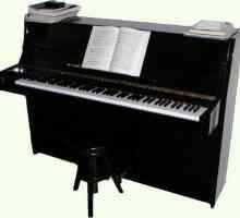 Пианото е струнен клавирен музикален инструмент