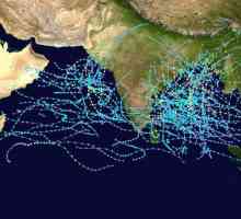 Климатът в Индийския океан. Интересни факти и особености на Индийския океан