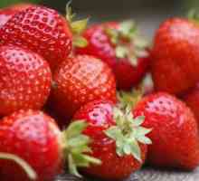 Кардинал на ягоди: описание на сорта и грижи