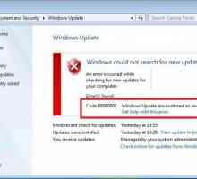 "Код 800b0001 грешка Windows Update": как да го поправите?