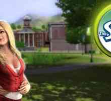 Cheats for `The Sims 3` за пари: как да забогатеете без проблеми?