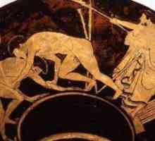Кога бяха първите олимпийски игри? Първи олимпийски игри в Гърция. Първи зимни олимпийски игри