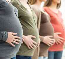 Когато плацентата се образува по време на бременност, норма и патология на развитието