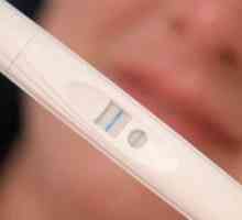 Кога и как да направите тест за бременност