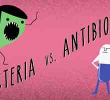 Кога действа антибиотикът? Антибиотици от широк спектър на действие от ново поколение