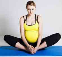Кога започва тримесечният период на бременността? От коя седмица на бременността започва третият…