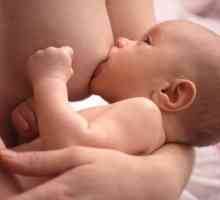 Кога се появява млякото след раждането? Неговите характеристики