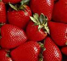 Кога да засаждате ягоди: определете оптималното време за засаждане