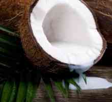 Кокосът е плод или ядки? Полезни свойства на кокосов орех, калории