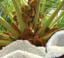 Кокосово бръснене: вреда и добра, калорична, хранителна стойност