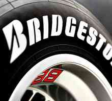 Колела `Bridgestone`: видове, характеристики, ревюта