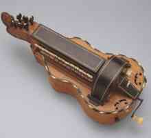 Колелото Лире: музикален инструмент (снимка)