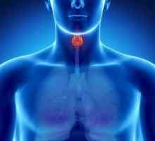 Колоидни възли на щитовидната жлеза: симптоми и лечение
