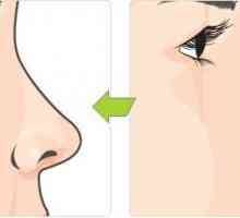 Нос на Columella. Формата и структурата на носа