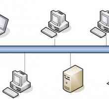 Компютърни мрежи: основни характеристики, класификация и принципи на организация
