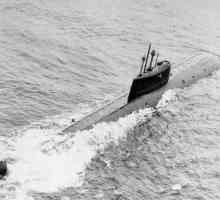 "Комсомолет" - подводница, която не трябваше да се удави