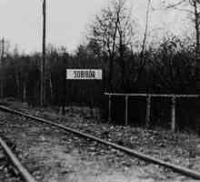 Концентрационен лагер "Собибор": история. Избягайте от затворниците от концентрационния…