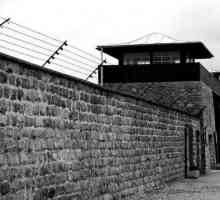 Конгресен лагер Маутхаузен в Австрия: снимка. Затворниците от концентрационния лагер в Маутхаузен