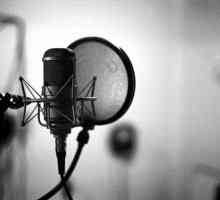 Кондензационен микрофон - избор на професионалисти
