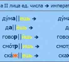 Конструктивни елементи на руския език. Основата на думата