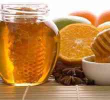 Кориандър мед и неговите полезни свойства