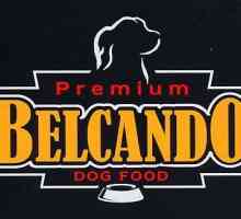 Белкандо храна за кучета: полезни свойства, цена, ревюта на собственици