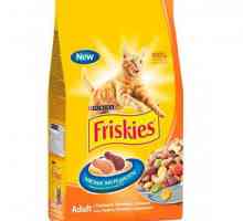 Котешка храна "Friskis": рецензии и съвети