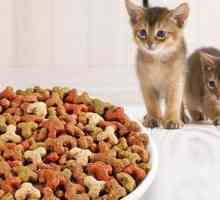 Хранене за първокласни котки. Оценка на фуражите